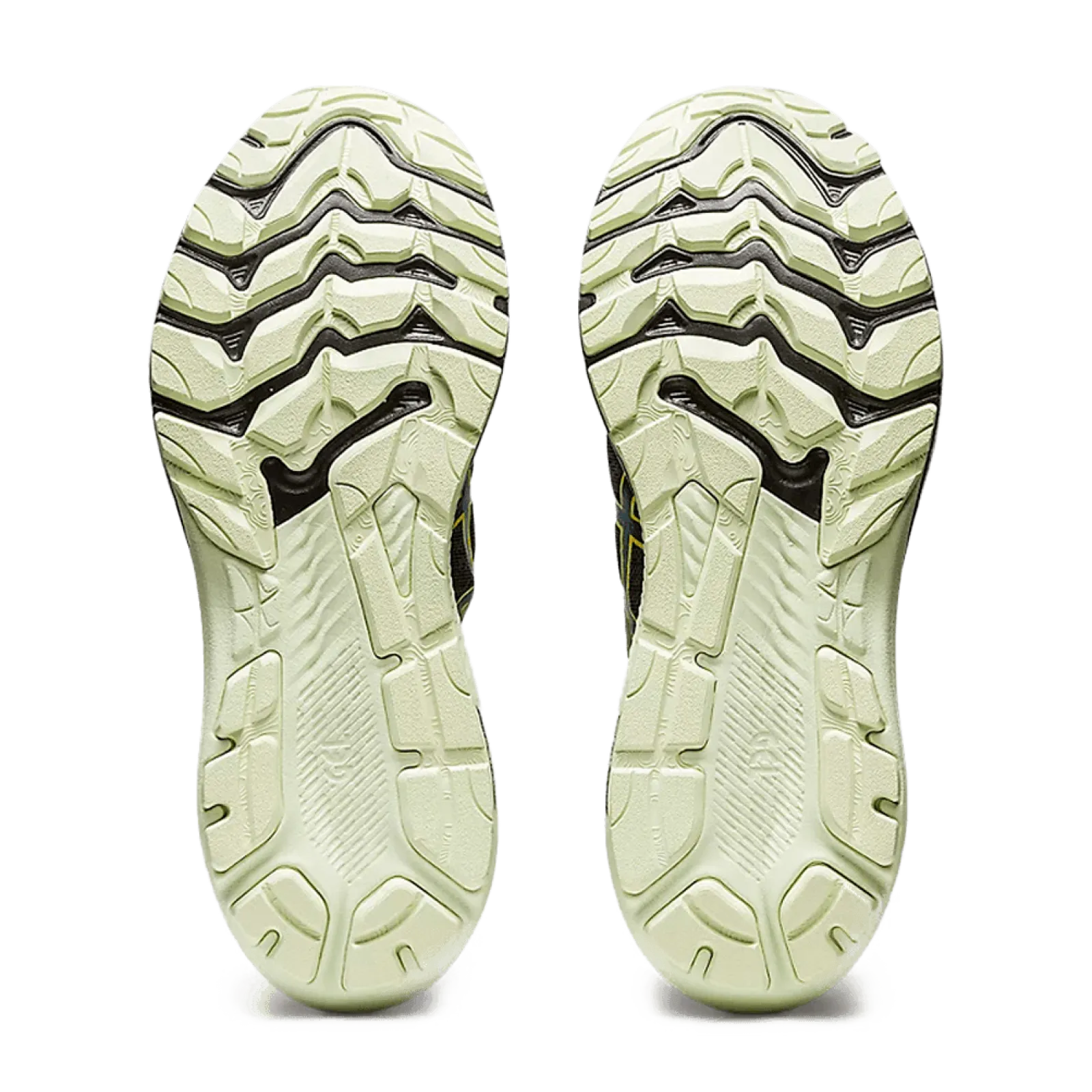 Чоловічі кросівки Asics GT-2000 11 GTX