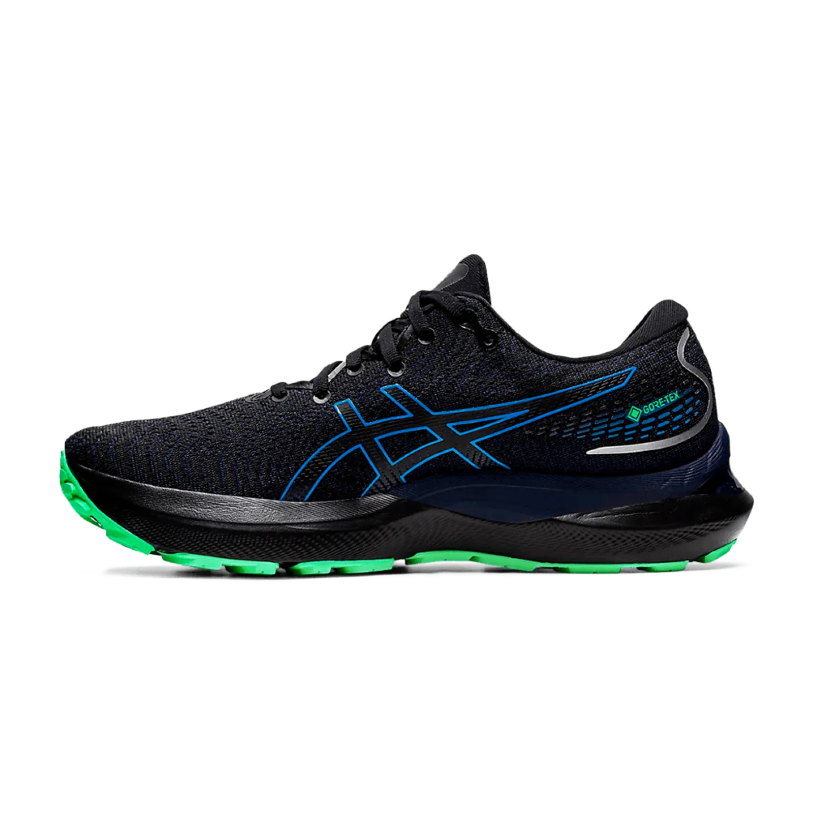 Чоловічі кросівки Asics GEL-CUMULUS 24 GTX