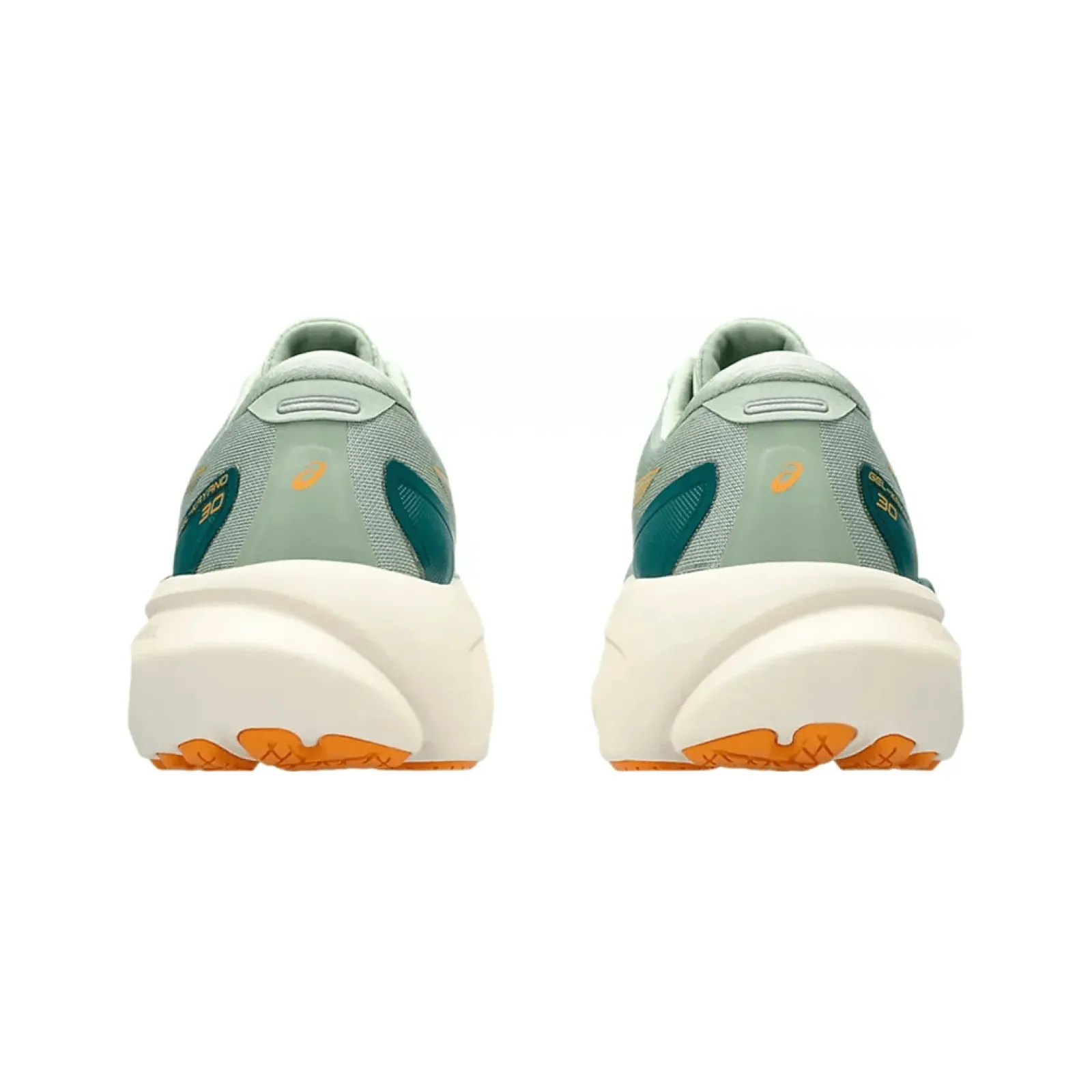 Чоловічі кросвки Asics GEL-KAYANO 30