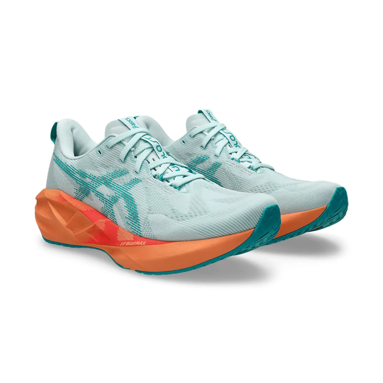 Чоловічі кросівки Asics NOVABLAST 5