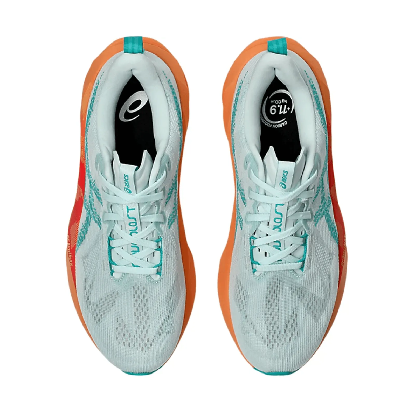 Чоловічі кросівки Asics NOVABLAST 5