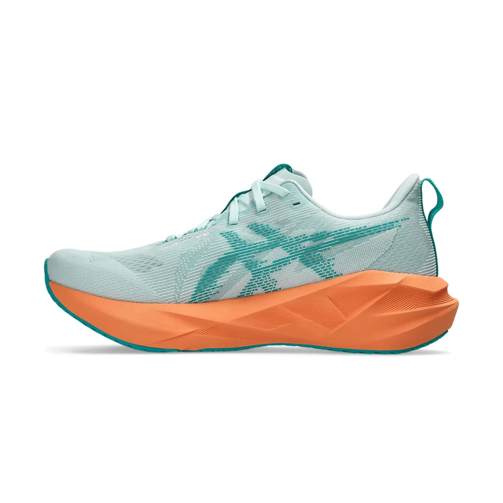 Чоловічі кросівки Asics NOVABLAST 5