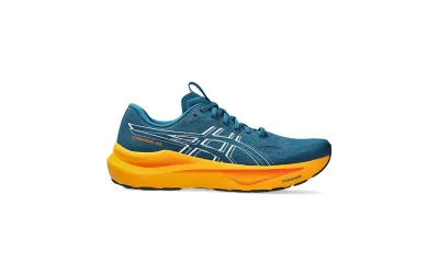 Чоловічі кросівки Asics Running GT-2000 14