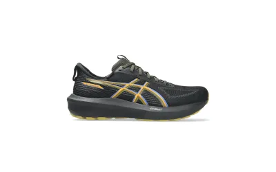 Чоловічі кросівки Asics GT-1000 14 GTX