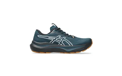 Чоловічі кросівки Asics GT-2000 14 TR