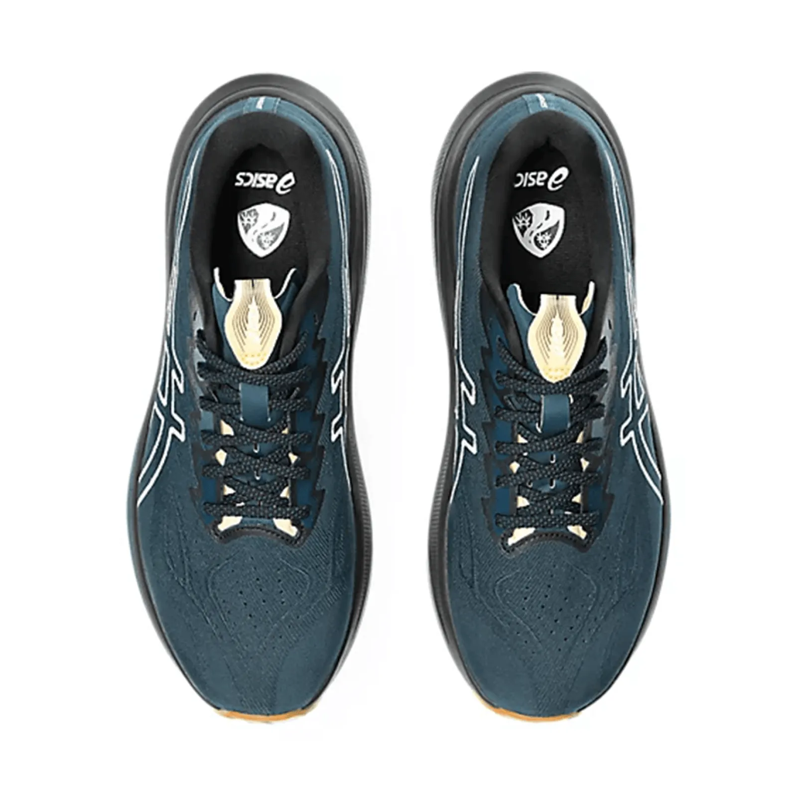 Чоловічі кросівки Asics GT-2000 14 TR