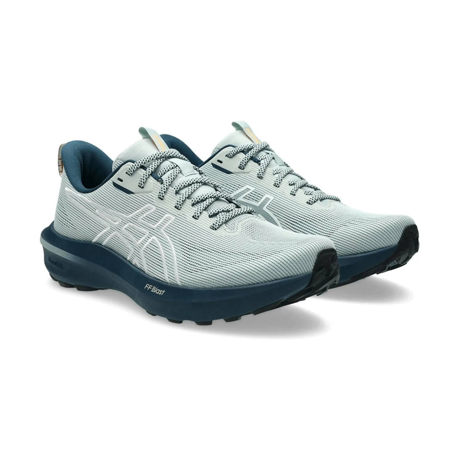 Чоловічі кросівки Asics GT-1000 14 TR