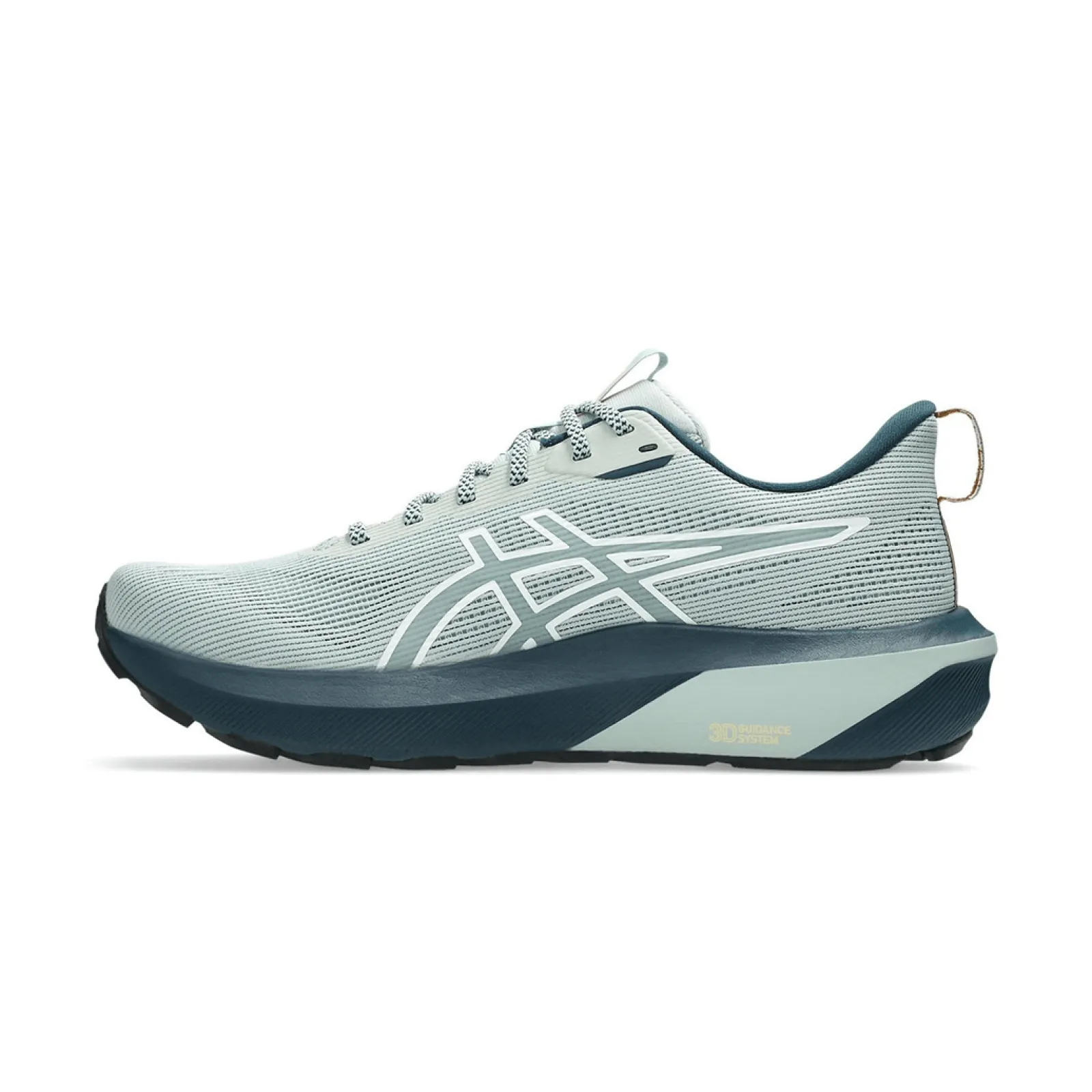 Чоловічі кросівки Asics GT-1000 14 TR