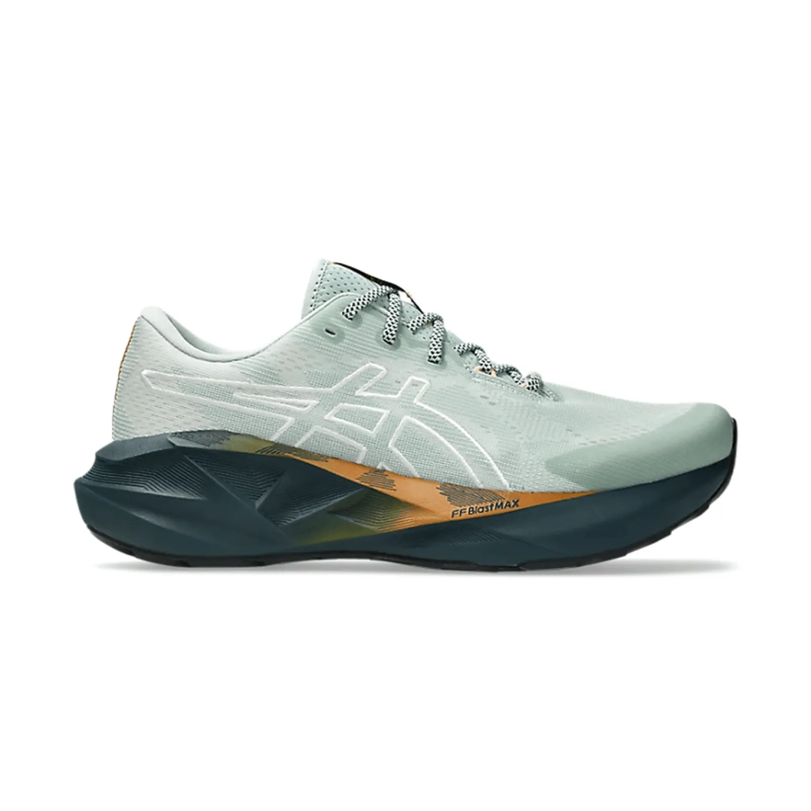 Чоловічі кросівки Asics NOVABLAST 5 TR
