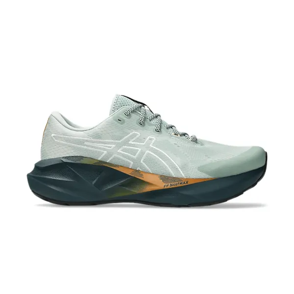 Чоловічі кросівки Asics NOVABLAST 5 TR