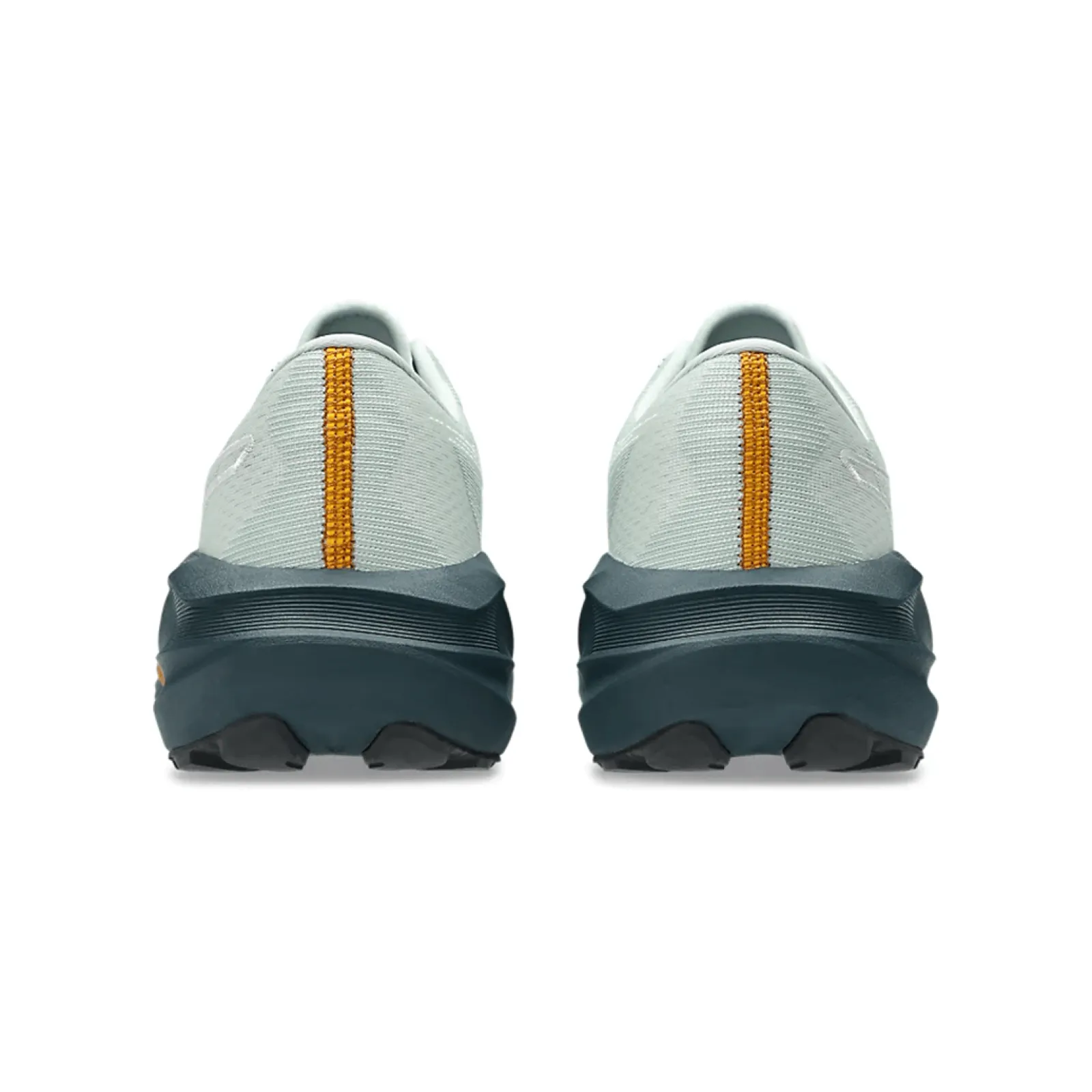 Чоловічі кросівки Asics NOVABLAST 5 TR