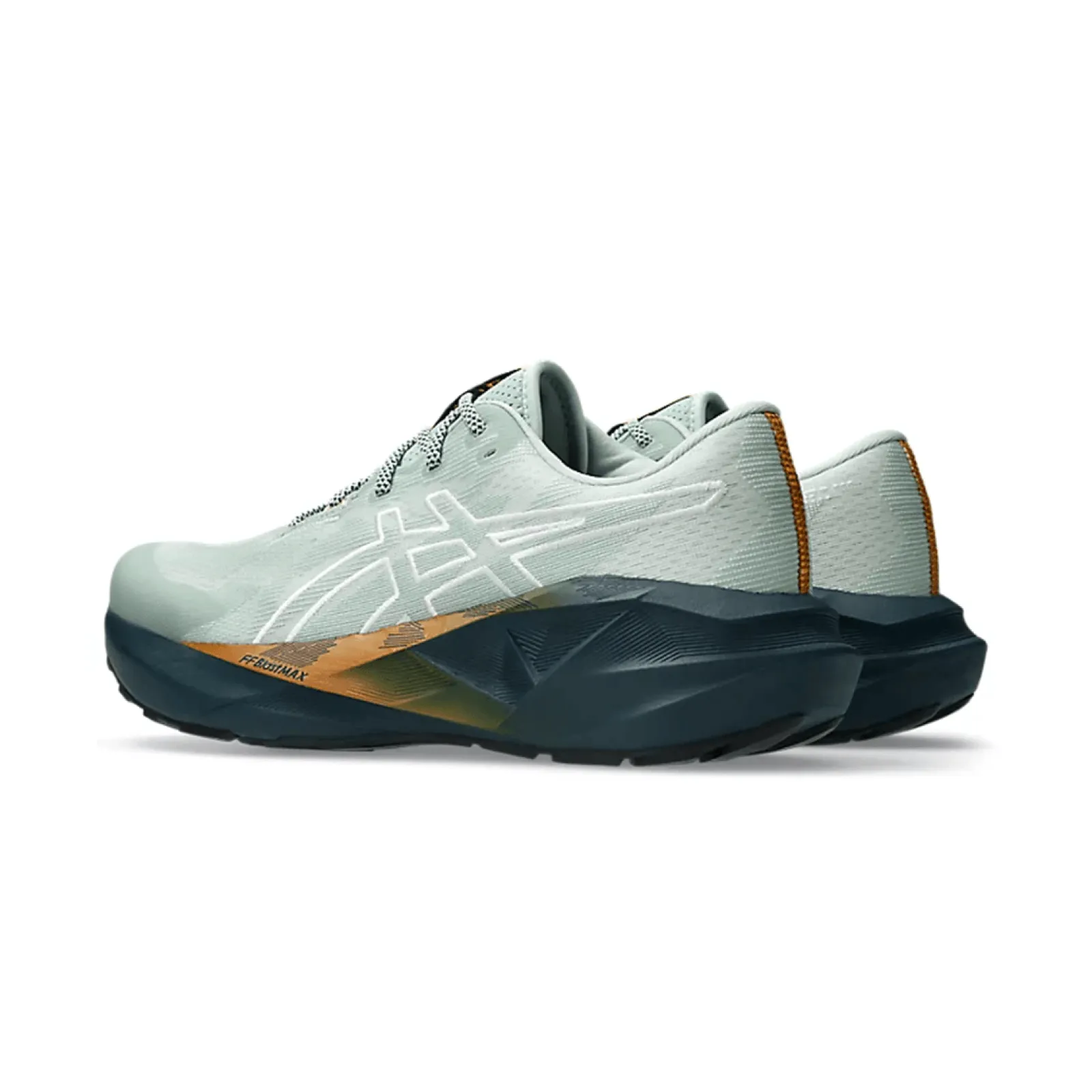 Чоловічі кросівки Asics NOVABLAST 5 TR