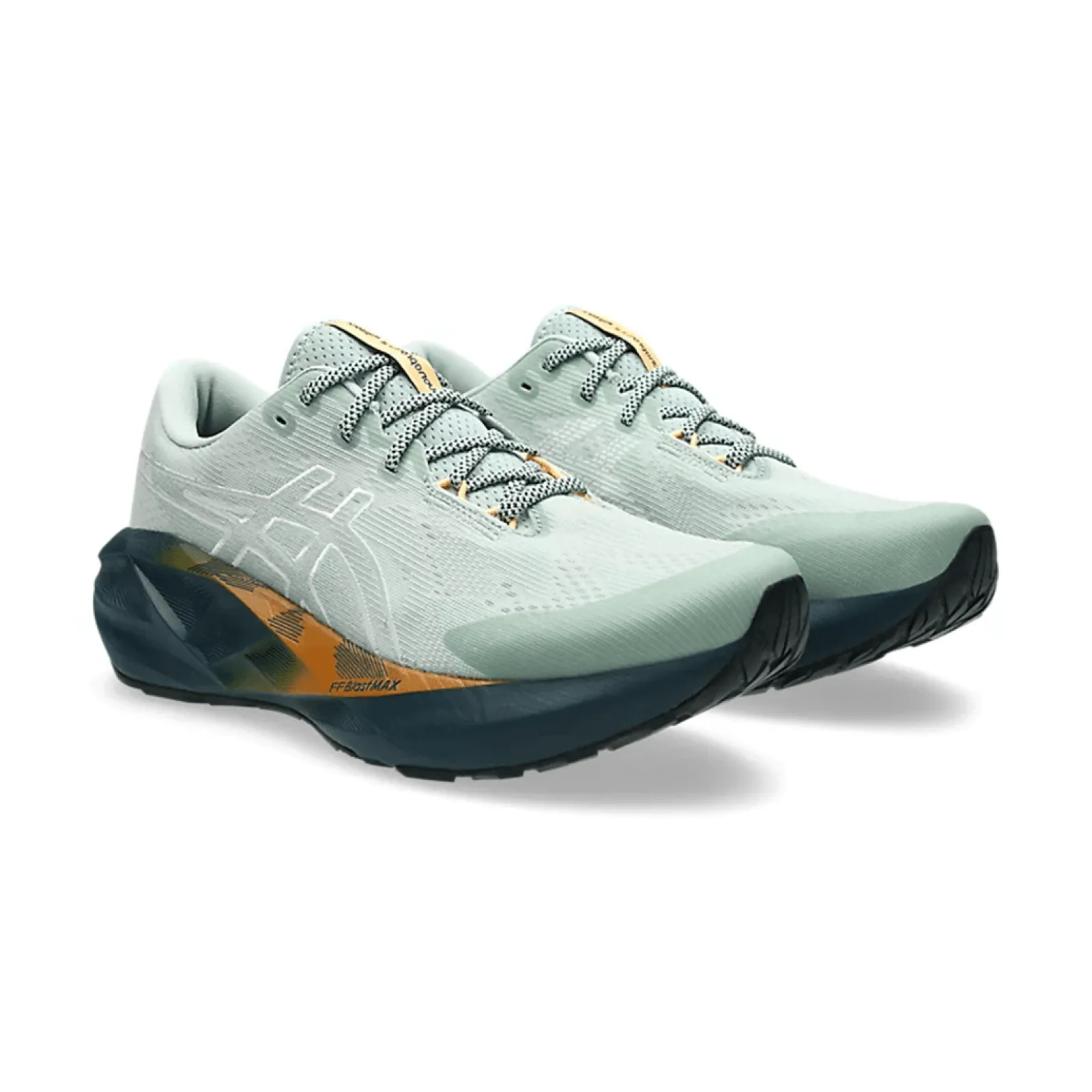 Чоловічі кросівки Asics NOVABLAST 5 TR