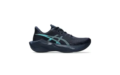 Чоловічі кросівки Asics NOVABLAST 6