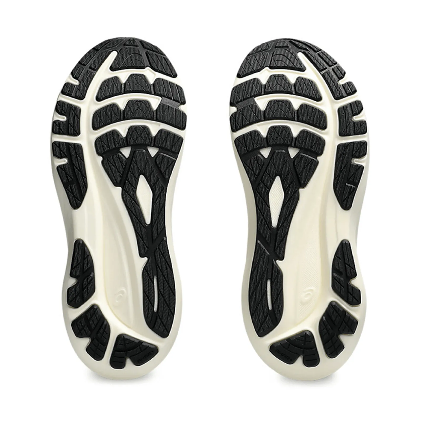 Жіночі кросівки Asics GT-2000 13