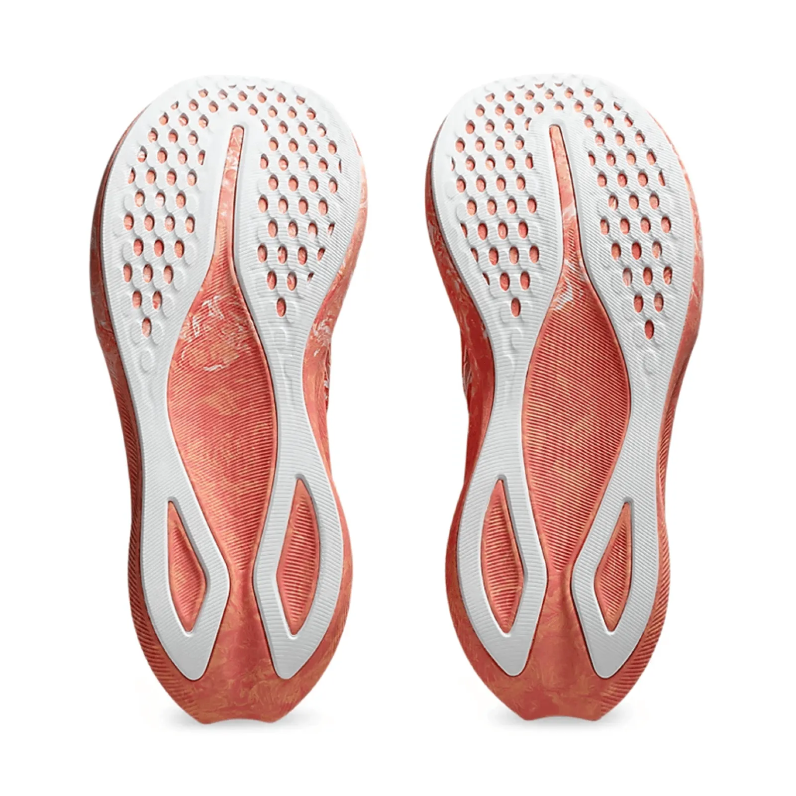 Жіночі кросівки Asics NOOSA TRI 16