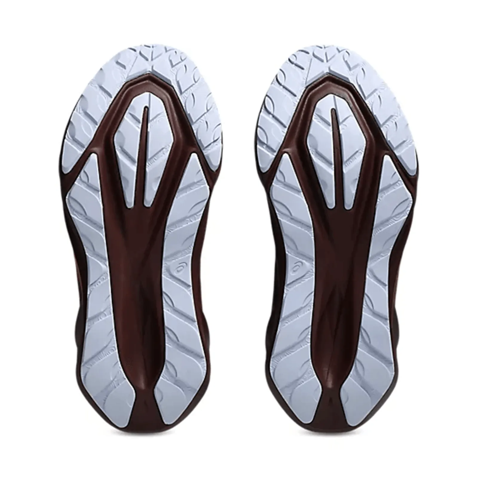 Жіночі кросівки Asics NOVABLAST 5 TR