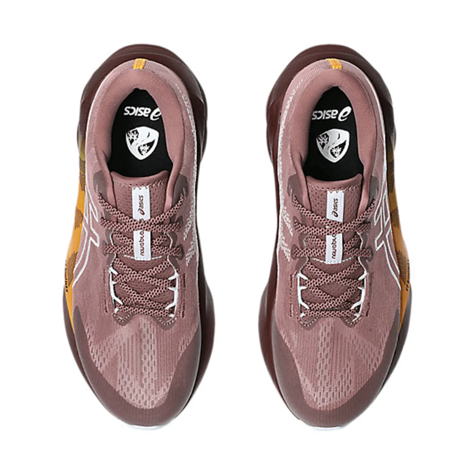 Жіночі кросівки Asics NOVABLAST 5 TR