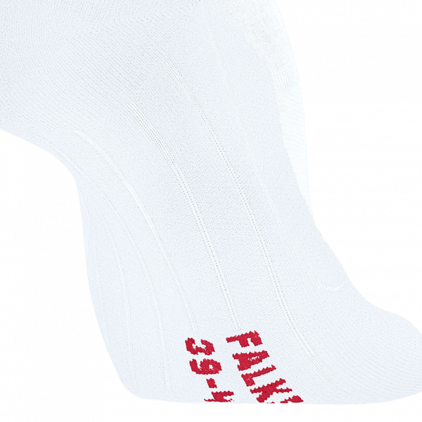 Чоловічі шкарпетки Falke ESS RU4 ENDURANCE