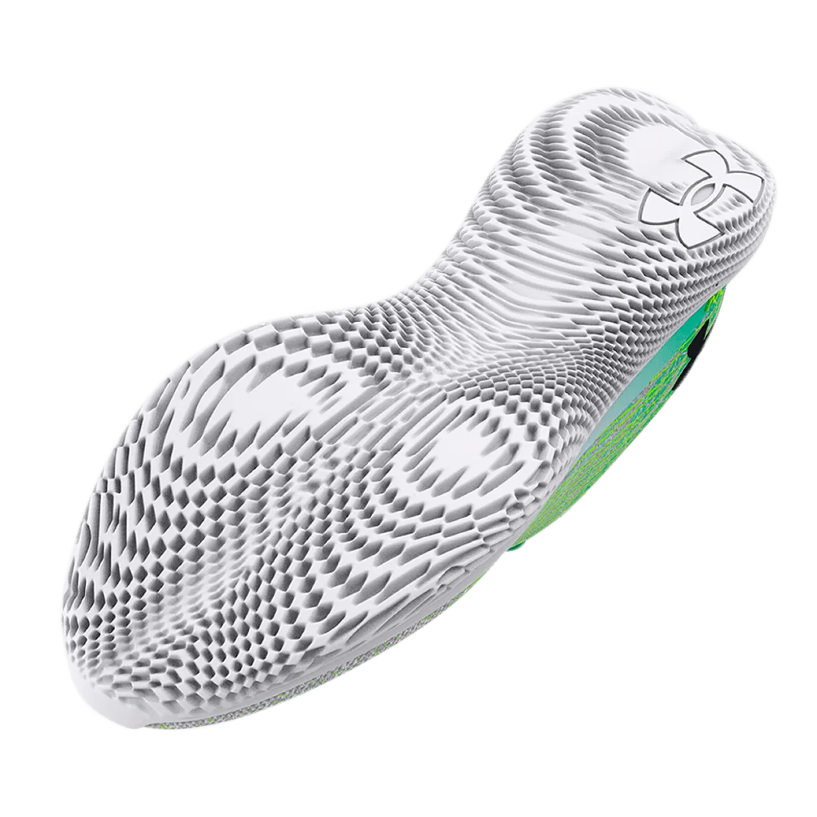 Чоловічі кросівки Under Armour FLOW VELOCITI WIND 2