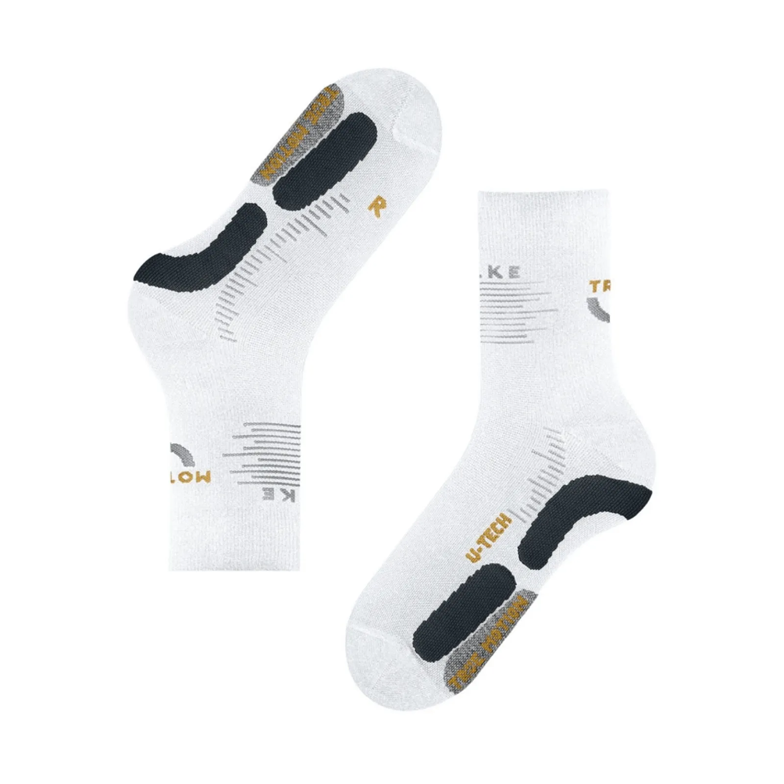 Чоловічі шкарпетки Falke ESS RU TRUE MOTION