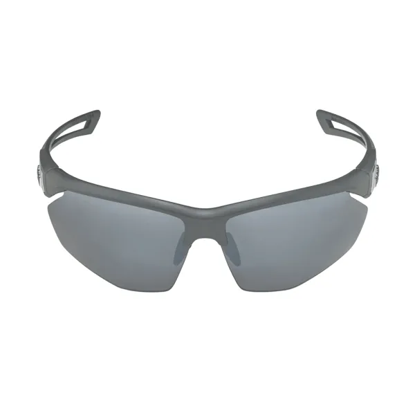 Окуляри сонцезахисні Alpina NYLOS HR