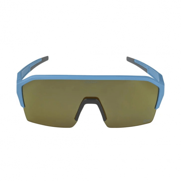 Сонцезахисні окуляри Alpina RAM HR