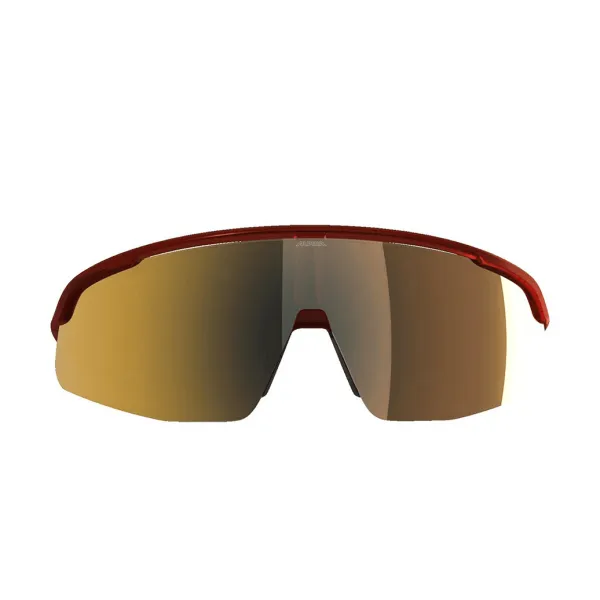 Окуляри сонцезахисні Alpina TURBO PRO S Q-LITE