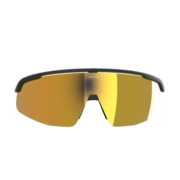 Окуляри сонцезахисні Alpina TURBO PRO Q