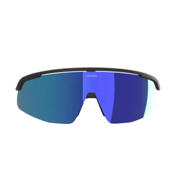 Окуляри сонцезахисні Alpina TURBO PRO Q