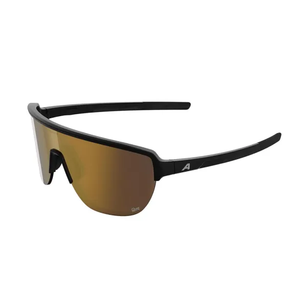 Окуляри сонцезахисні Alpina RAM 2.0 Q-LITE