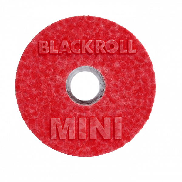 Ролл BlackRoll Mini