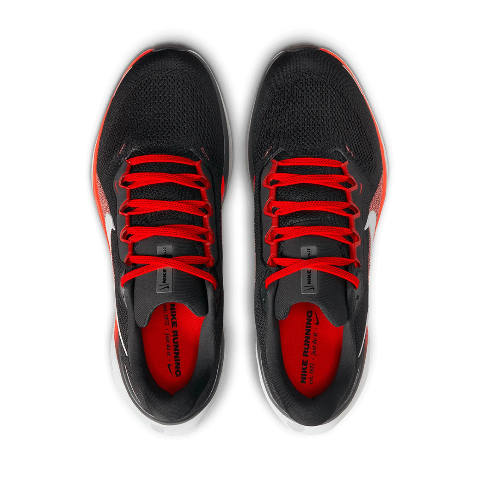Чоловічі кросівки Nike AIR ZOOM PEGASUS 41
