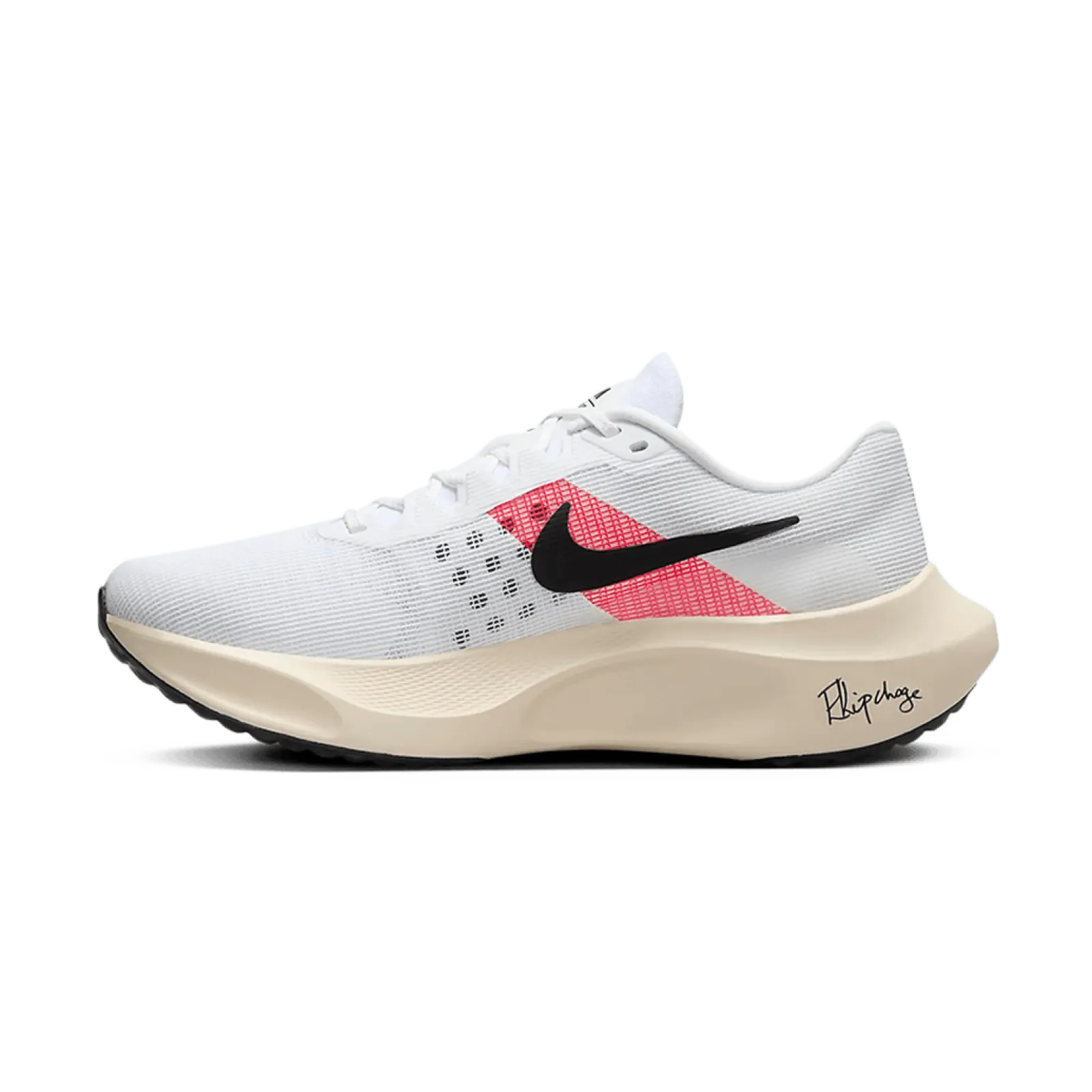 Чоловічі кросівки Nike ZOOM FLY 5 EK