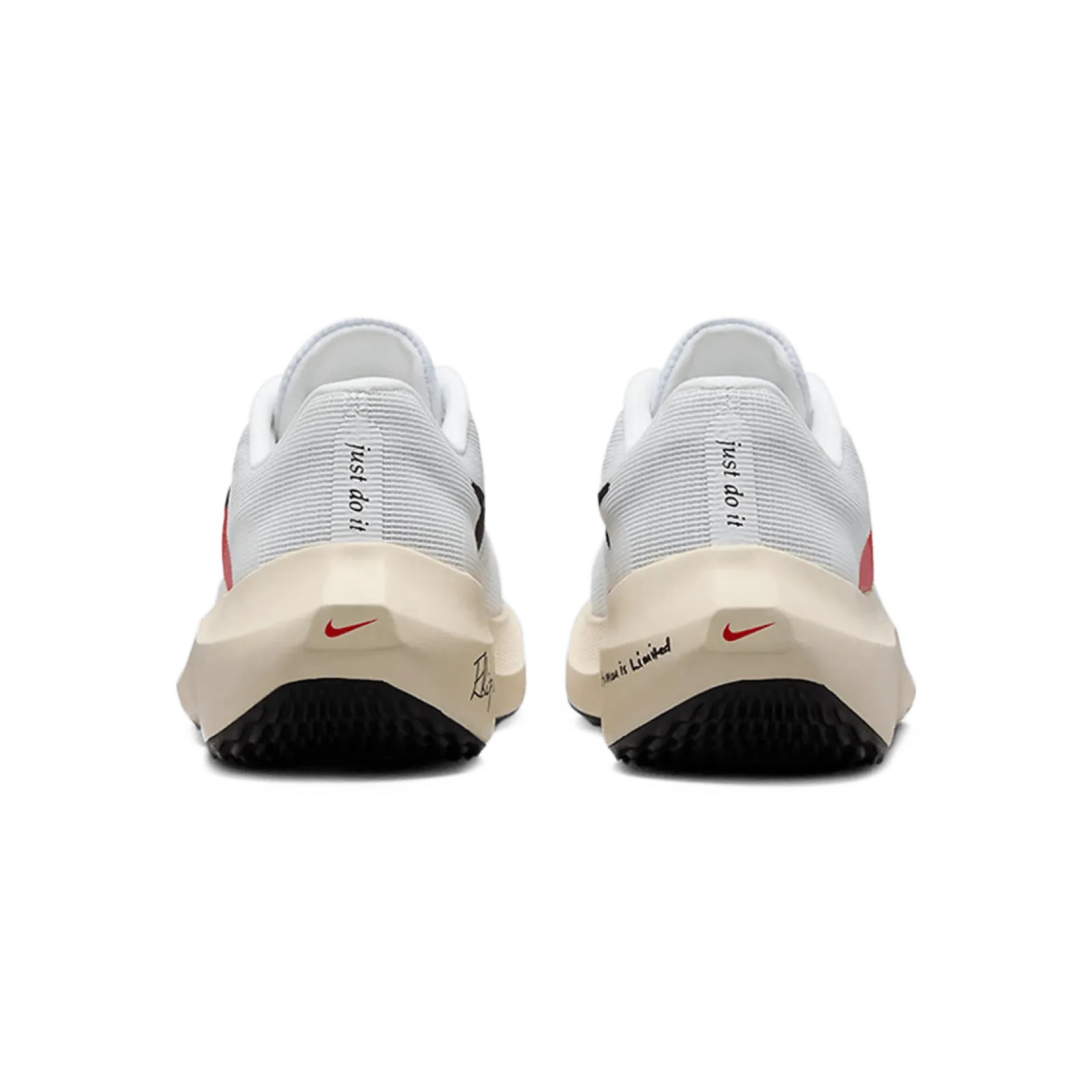 Чоловічі кросівки Nike ZOOM FLY 5 EK