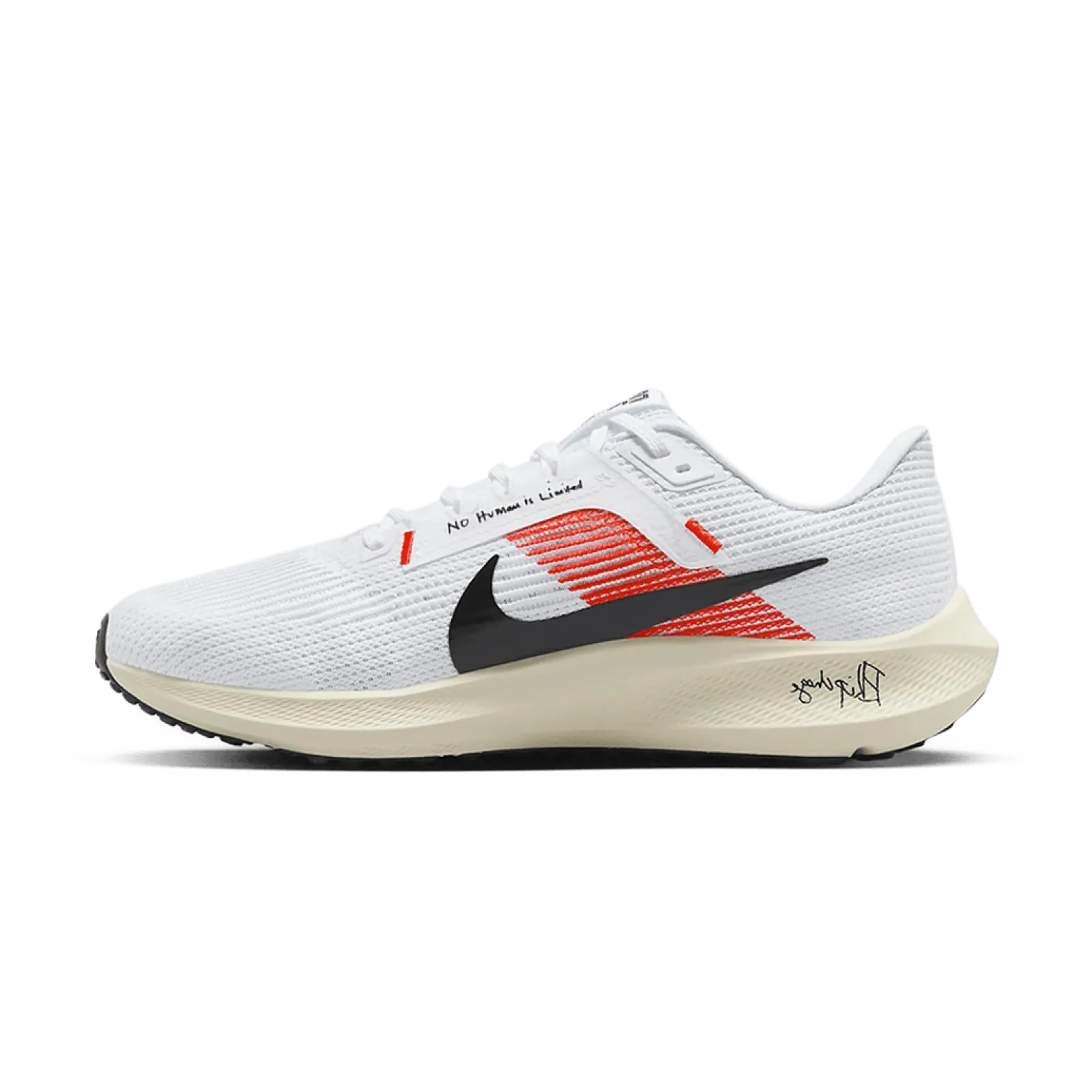 Чоловічі кросівки Nike AIR ZOOM PEGASUS 40 EK