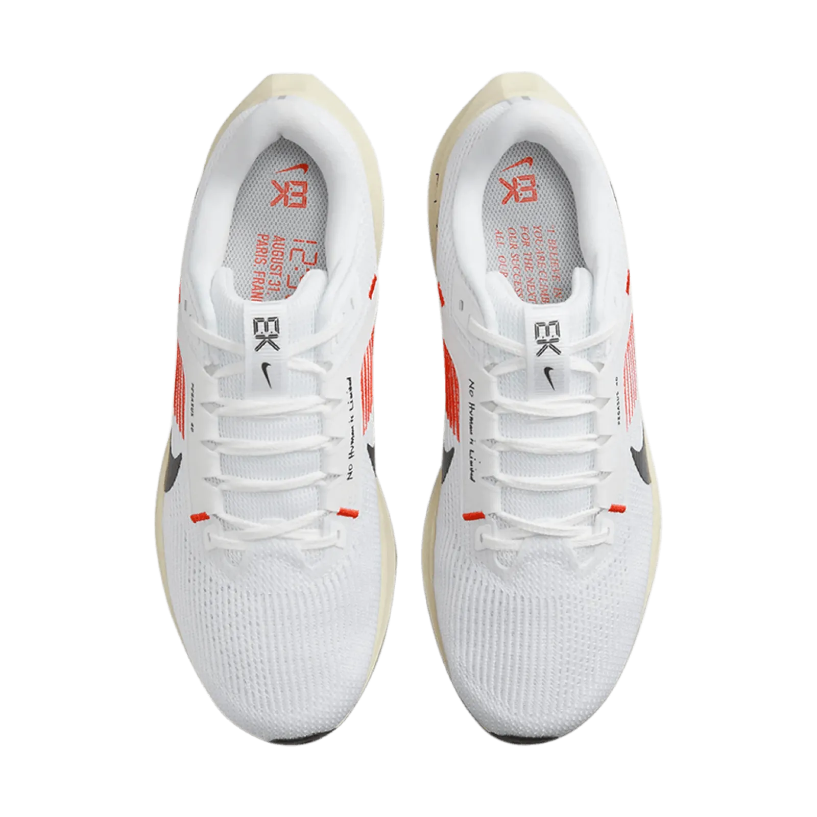 Чоловічі кросівки Nike AIR ZOOM PEGASUS 40 EK