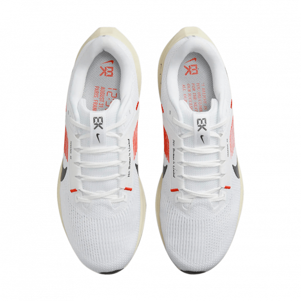 Чоловічі кросівки Nike AIR ZOOM PEGASUS 40 EK