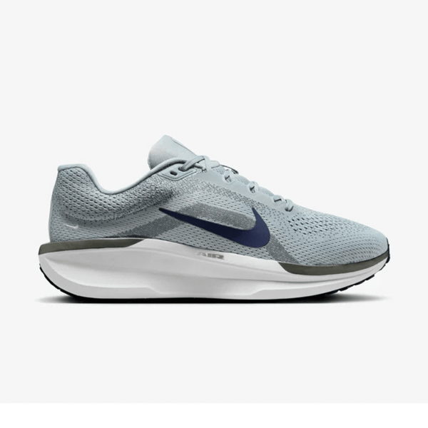 Чоловічі кросівки Nike AIR WINFLO 11