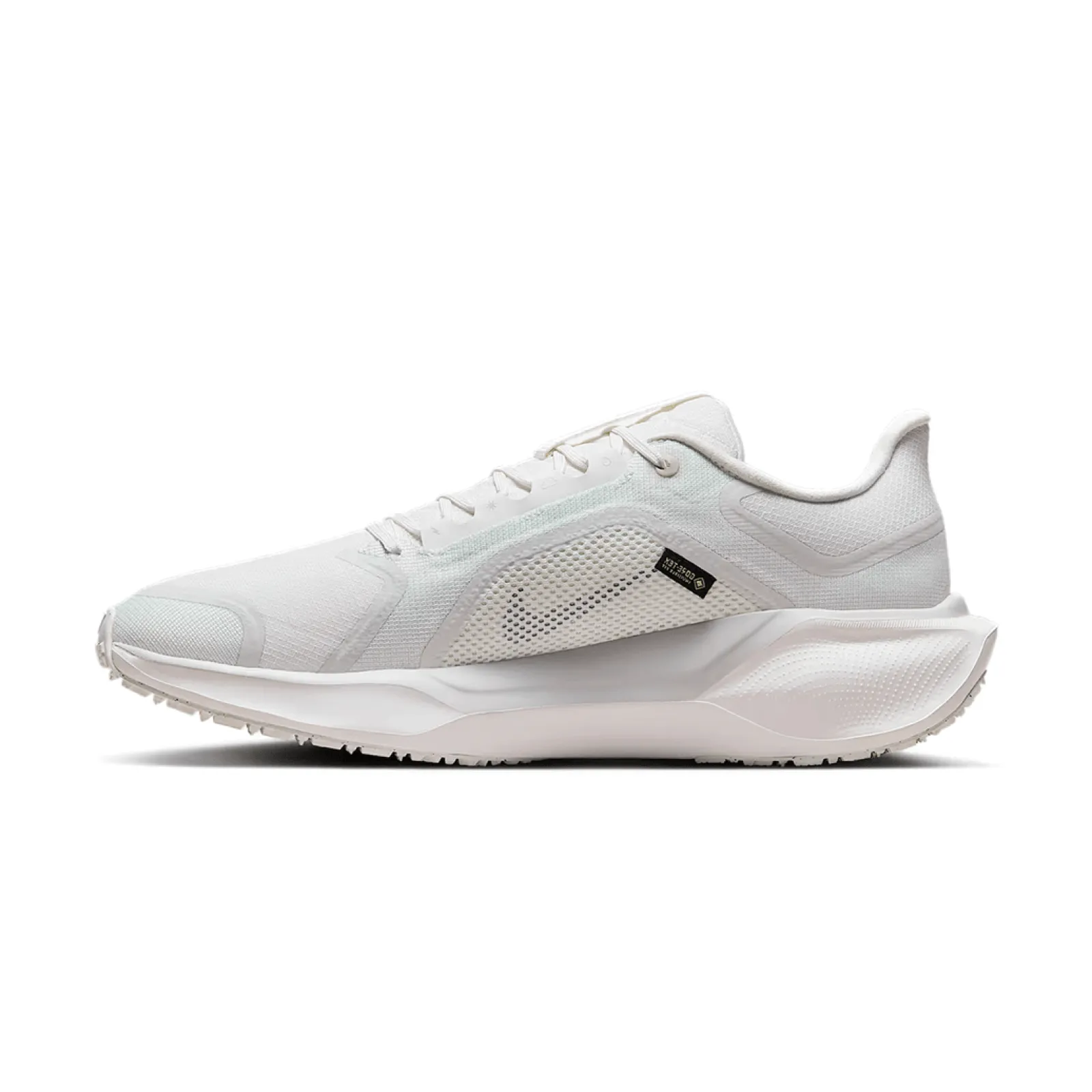 Кросівки Nike Running AIR ZM PEGASUS 41 GTX