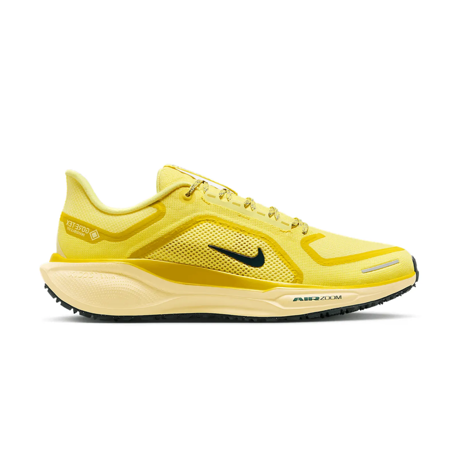 Кросівки Nike Running AIR ZM PEGASUS 41 GTX