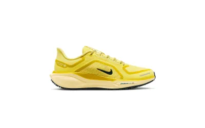 Кросівки Nike Running AIR ZM PEGASUS 41 GTX