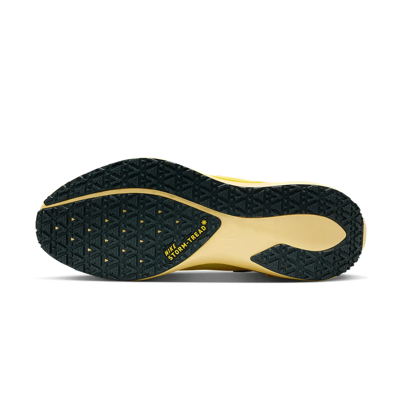 Кросівки Nike Running AIR ZM PEGASUS 41 GTX