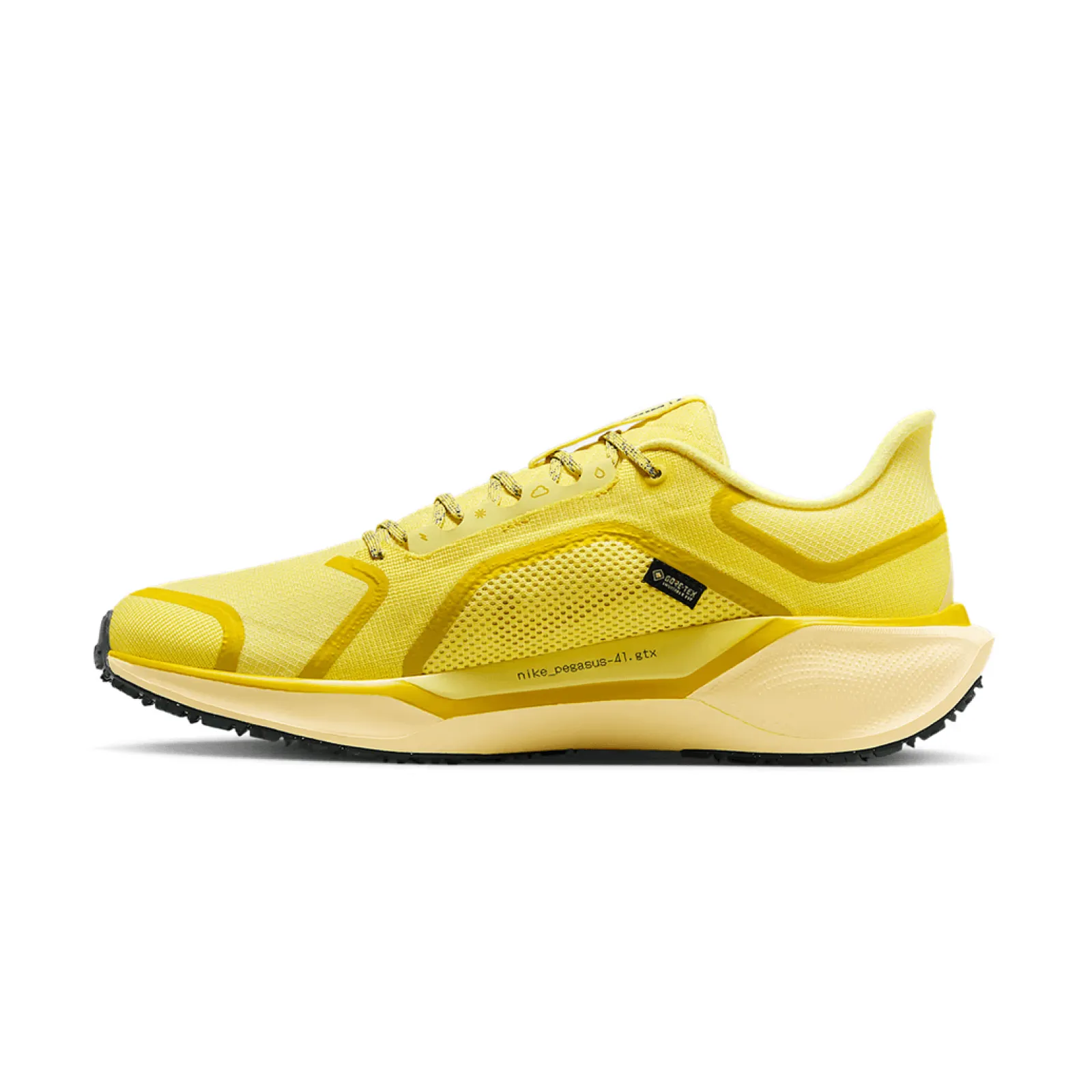 Кросівки Nike Running AIR ZM PEGASUS 41 GTX