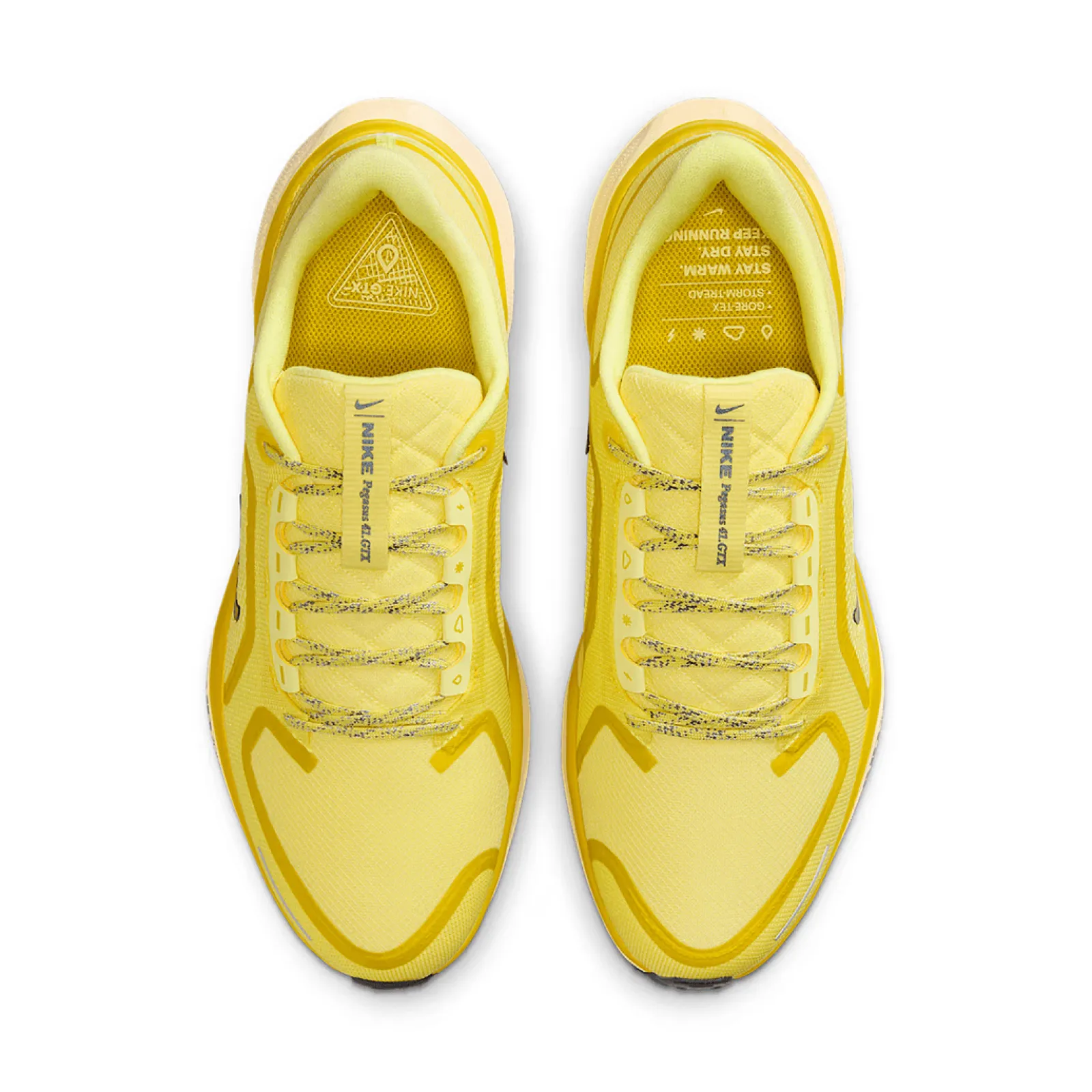 Кросівки Nike Running AIR ZM PEGASUS 41 GTX