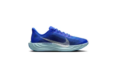 Чоловічі кросівки Nike PEGASUS PLUS