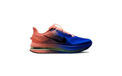 Чоловічі кросівки Nike PEGASUS PREMIUM