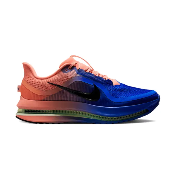 Чоловічі кросівки Nike PEGASUS PREMIUM