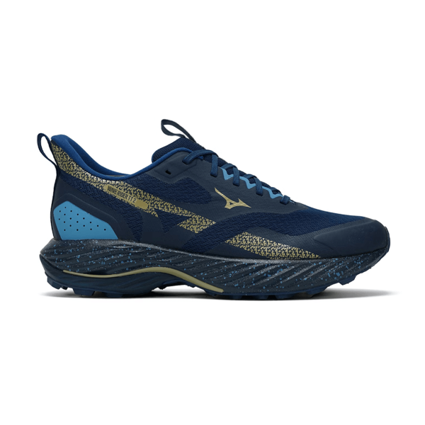 Чоловічі кросівки Mizuno WAVE RIDER TT 2