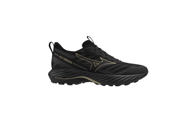 Чоловічі кросівки Mizuno WAVE RIDER GTX 2